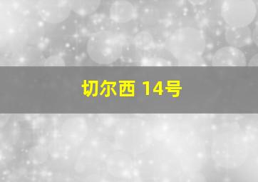 切尔西 14号